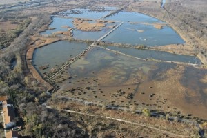 les_marais_du_vigueirat_en_bref_300x200-01c7.jpg