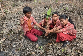 planete urgence reforestation-fe76.jpg