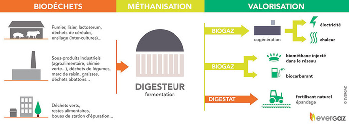 principedelamethanisation
