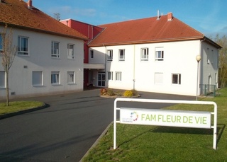 famfleurdevie