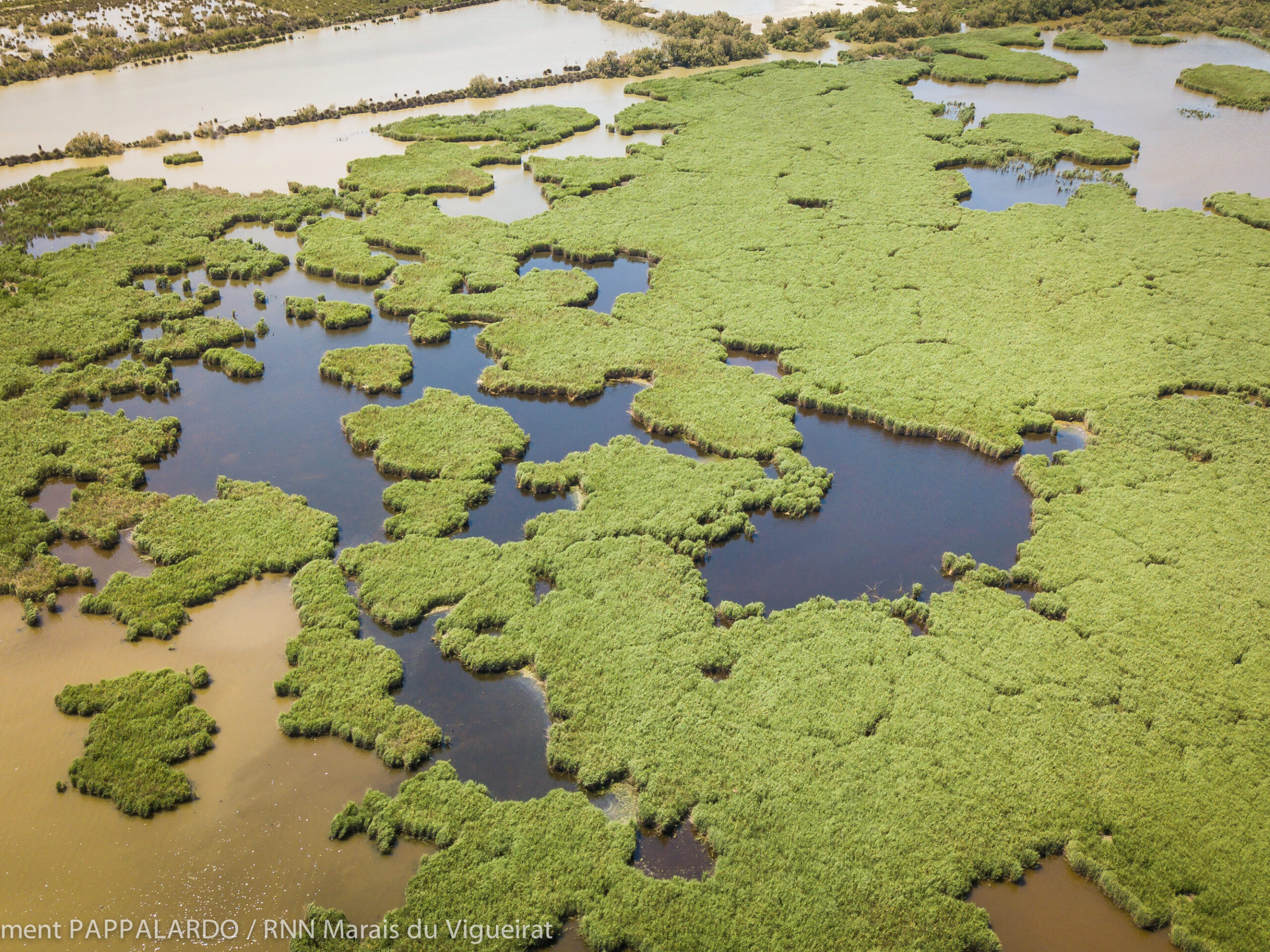 Preserving and promoting natural heritage